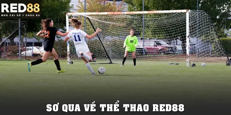 Sơ qua về thể thao Red88