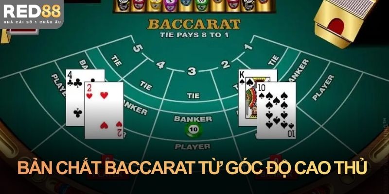 Bản chất baccarat nhìn từ góc độ của cao thủ