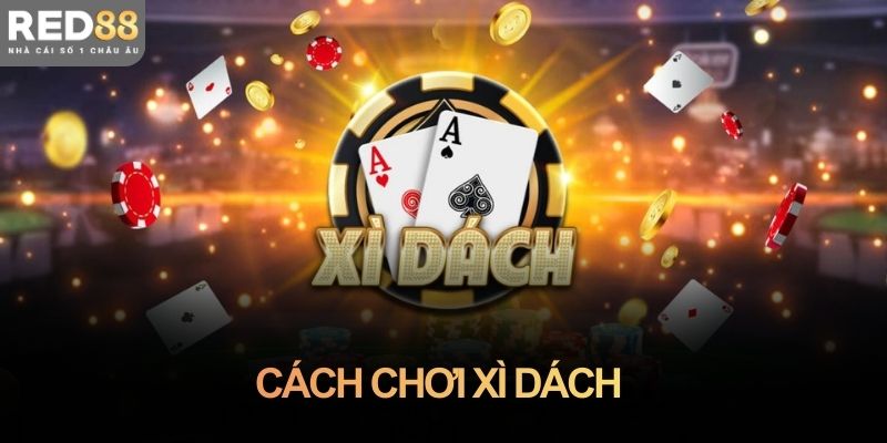 Cách chơi xì dách chi tiết: Đọc bài chuẩn, hạn chế thua