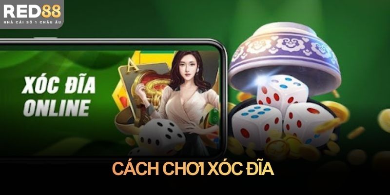 Cách chơi xóc đĩa chi tiết kèm kinh nghiệm thực tế