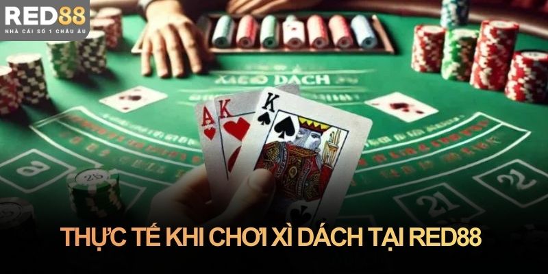 Trải nghiệm thực tế khi chơi xì dách tại Red88